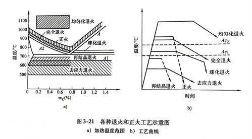 钢的热处理工艺 正火